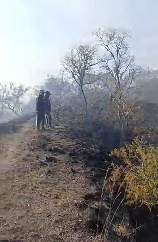 ACTUALIZACIÓN DE LA INFORMACIÓN SOBRE EL COMBATE DEL INCENDIO FORESTAL EN LA JURISDICCIÓN DEL BARRIO SAN NICOLÁS.