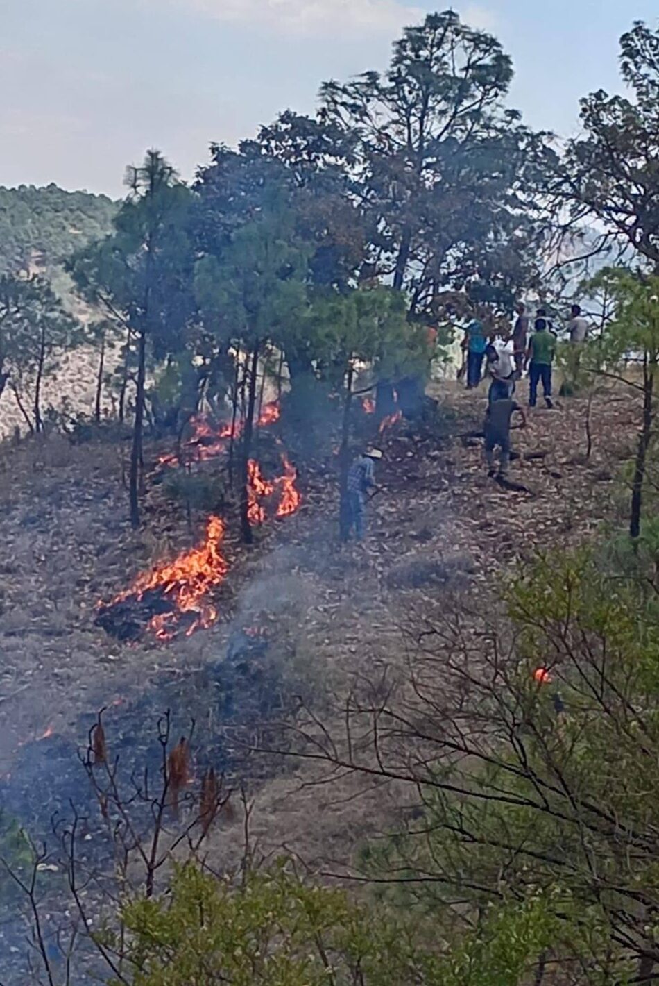 BRIGADA DE RESPUESTA INMEDIATA CONTROLA INCENDIO FORESTAL EN LLANO DE GUADALUPE