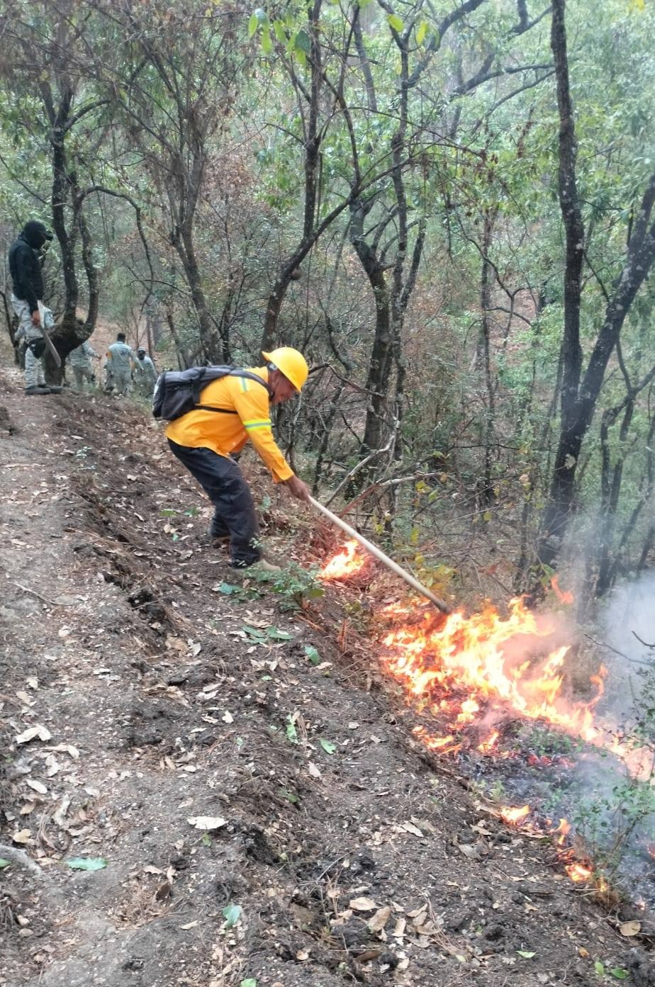 INCENDIO FORESTAL SOFOCADO AL 100% GRACIAS A LA COORDINACIÓN INTERINSTITUCIONAL Y AL APOYO CIUDADANO