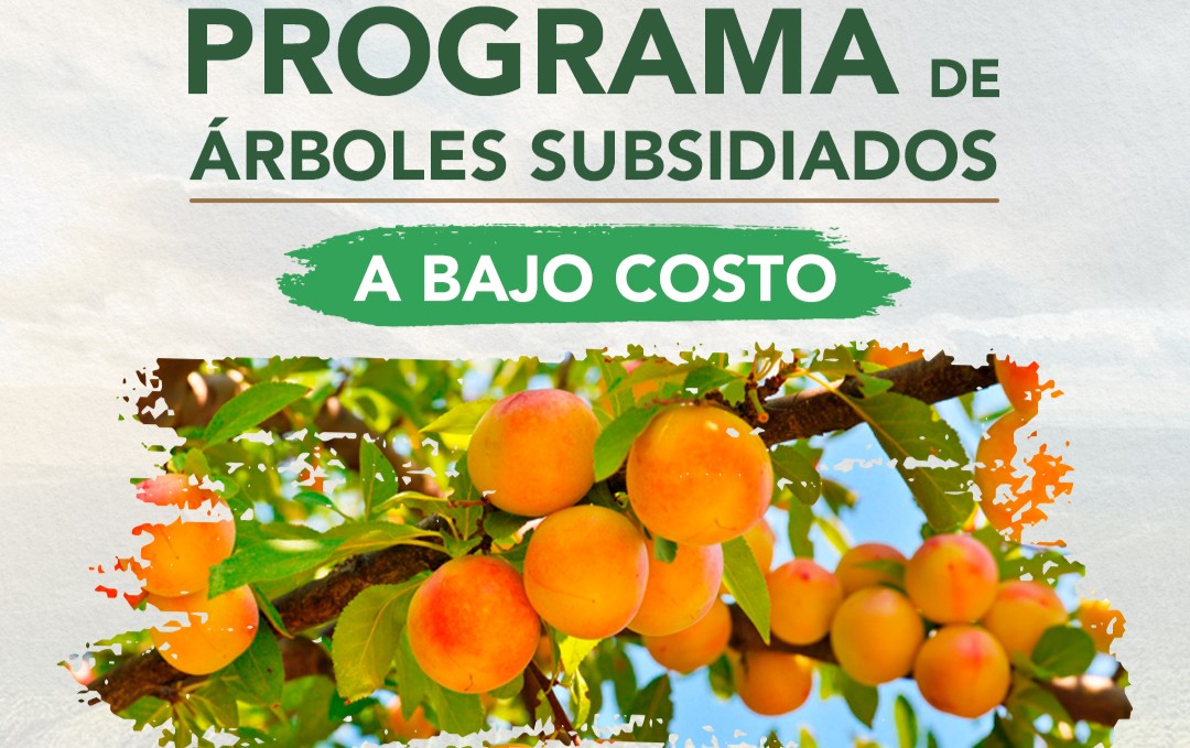 PROGRAMA DE ARBOLES SUBSIDIADOS A BAJO COSTO