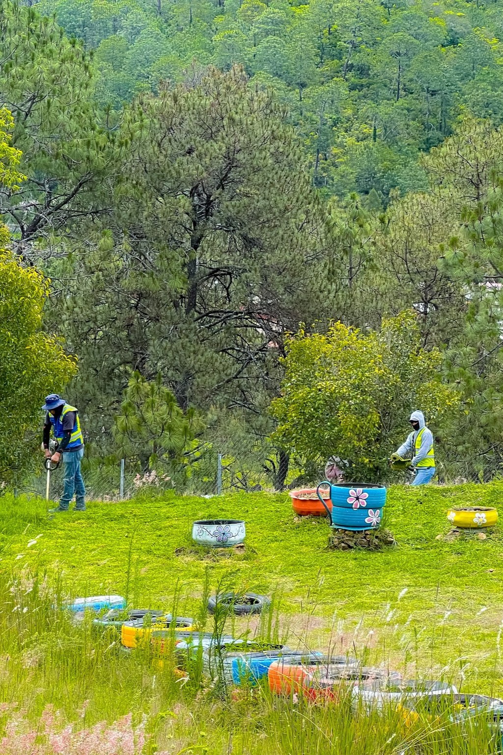 MANTENIMIENTO EN EL ÁREA VERDE UBICADA EN LOMA ZATA