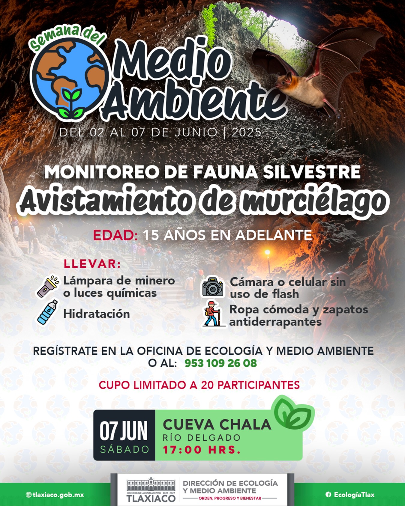 MONITOREO DE FAUNA SILVESTRE: AVISTAMIENTO DE MURCIÉLAGOS