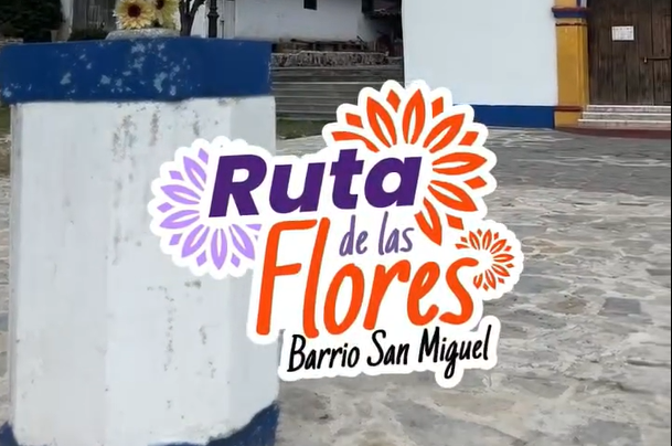 EL H. AYUNTAMIENTO TE INVITA A LA CARRERA-CAMINATA MENSUAL “UNIRTE Y CAMINAR JUNTAS POR LA PREVENCIÓN DE LA VIOLENCIA”