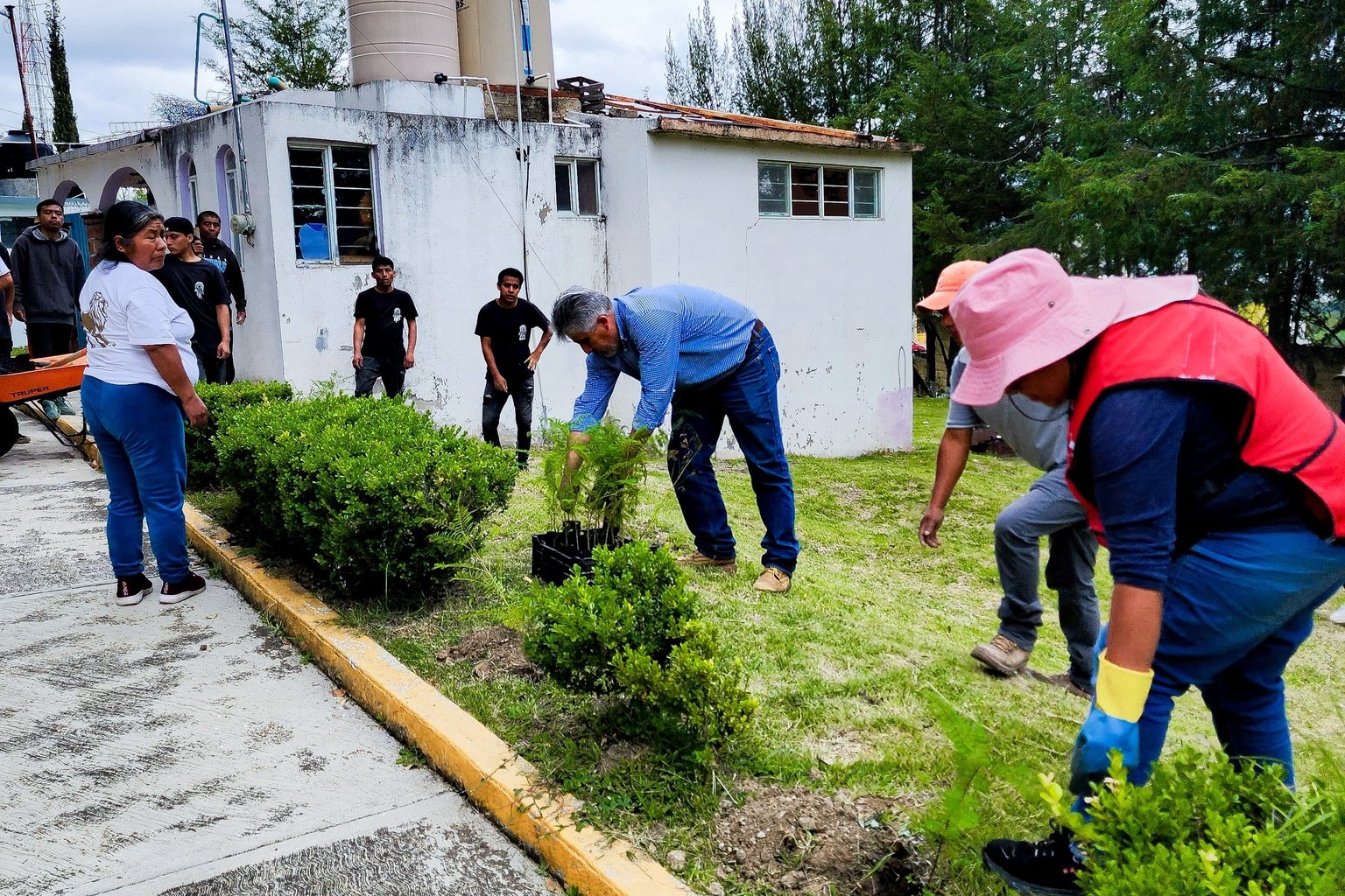 SE SIEMBRAN 130 JACARANDAS EN EL PANTEÓN MUNICIPAL EN EL MARCO DEL DÍA MUNDIAL DE LA PROTECCIÓN DE LA CAPA DE OZONO