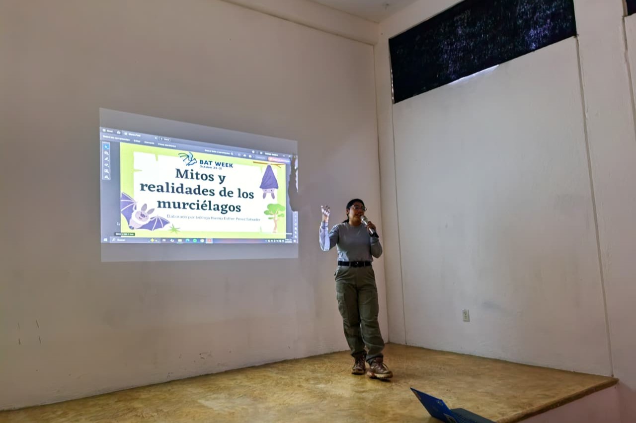 TLAXIACO CELEBRA LA SEMANA DEL MURCIÉLAGO CON CHARLAS, TALLERES Y AVISTAMIENTO NOCTURNO