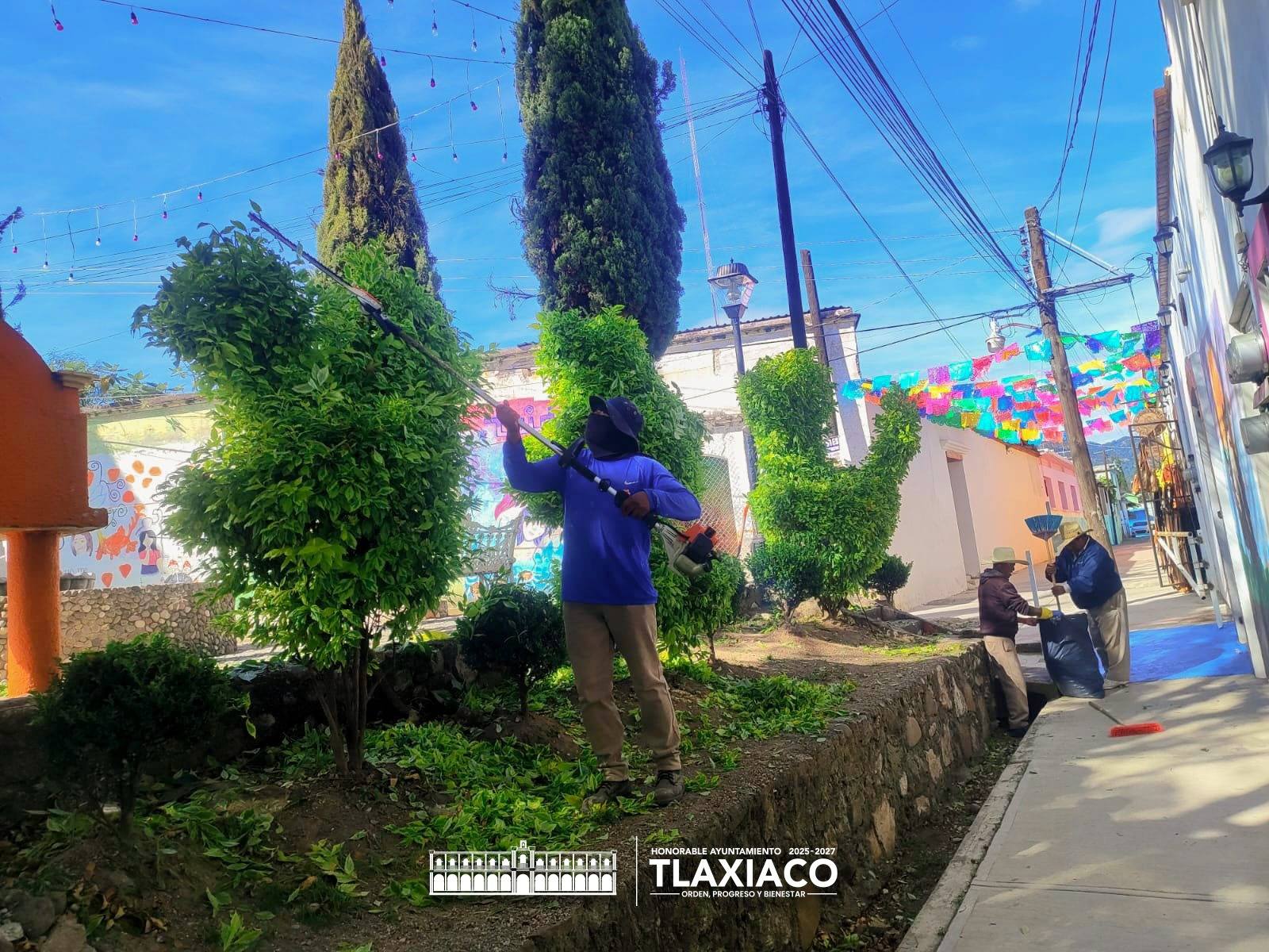 TRABAJOS DE MANTENIMIENTO Y EMBELLECIMIENTO EN LA PLAZA LA MERCED Y LA PLAZA DE LA CONSTITUCIÓN