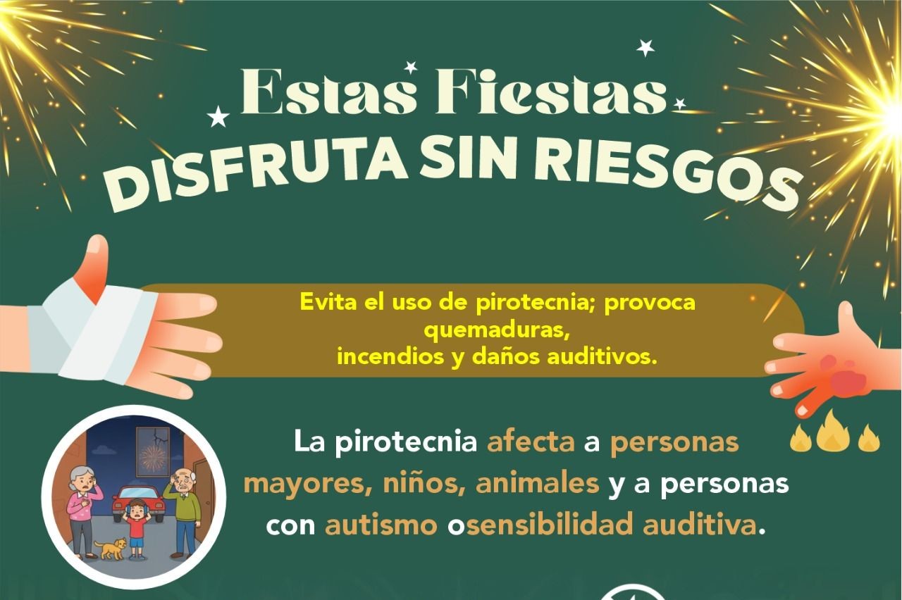 ESTAS FIESTAS DISFRUTA SIN RIESGOS