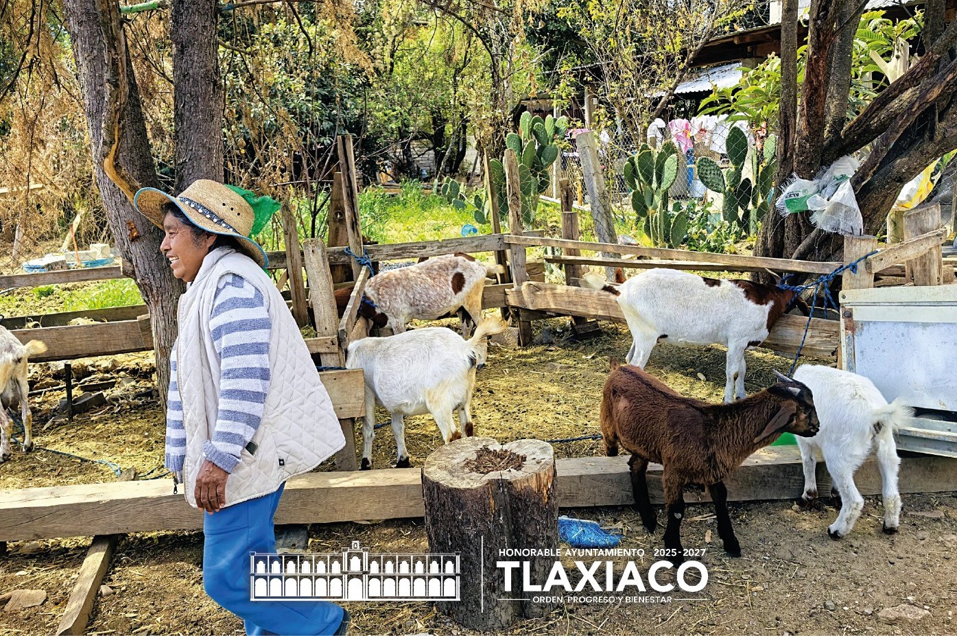 SE PONE EN MARCHA JORNADA DE PREVENCIÓN PARA PROTEGER LA SALUD DEL GANADO EN TLAXIACO