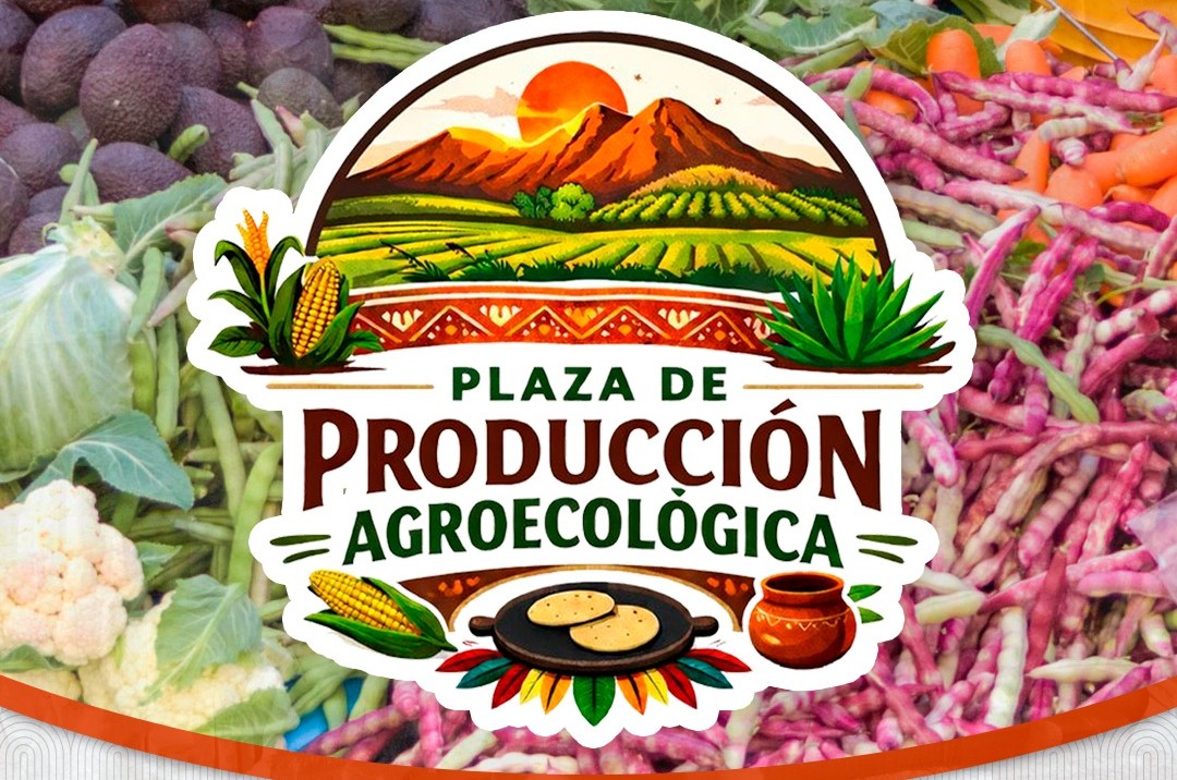 PLAZA DE PRODUCCIÓN AGROECOLÓGICA