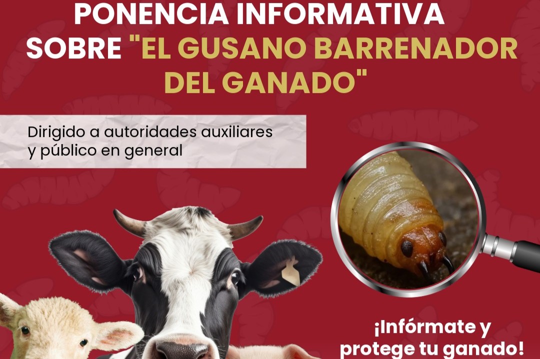 GOBIERNO MUNICIPAL Y AUTORIDADES SANITARIAS CONVOCAN A PONENCIA SOBRE PLAGA DEL GANADO