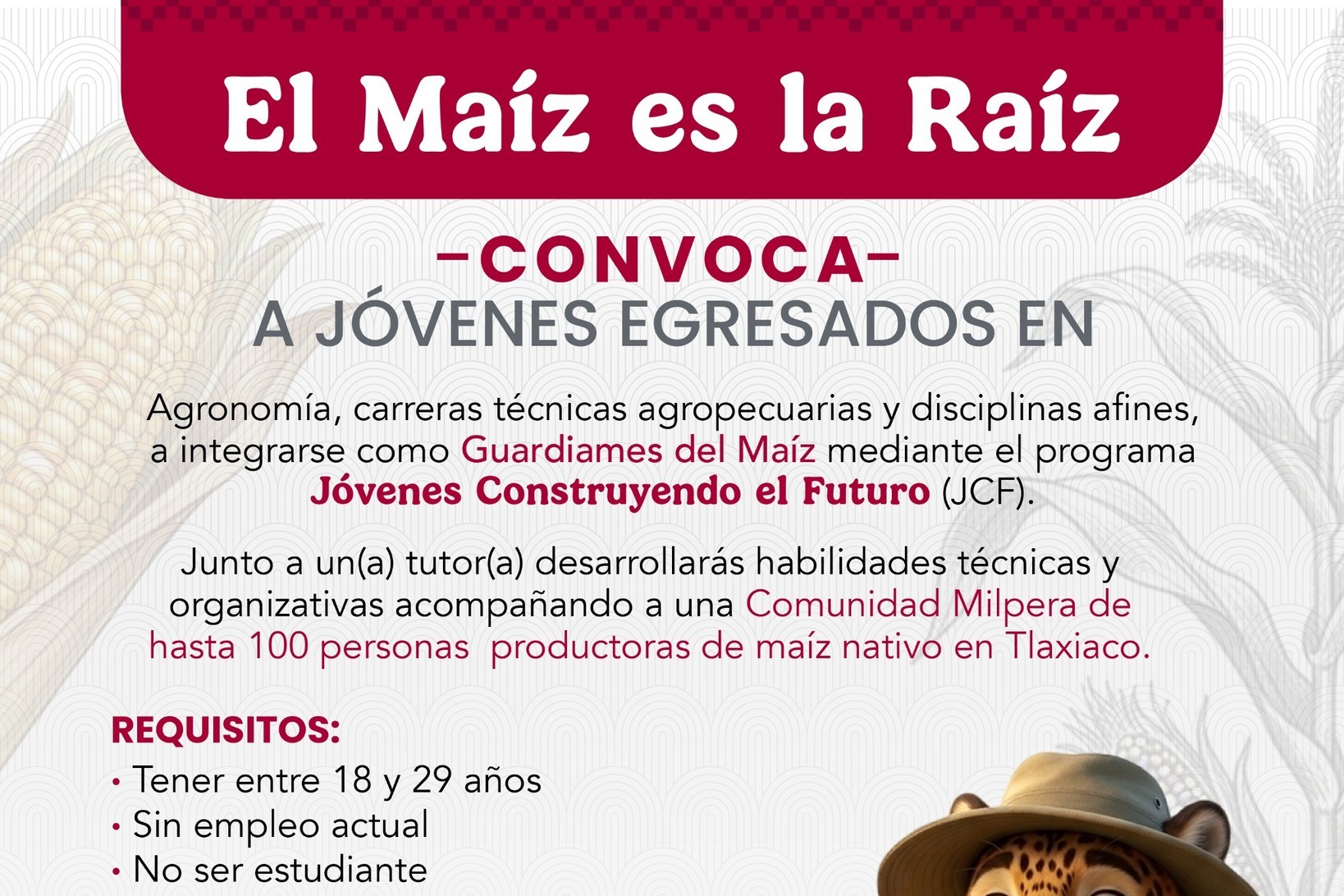 ABREN CONVOCATORIA PARA JÓVENES EN PROGRAMA AGROPECUARIO “GUARDIANES DEL MAÍZ”