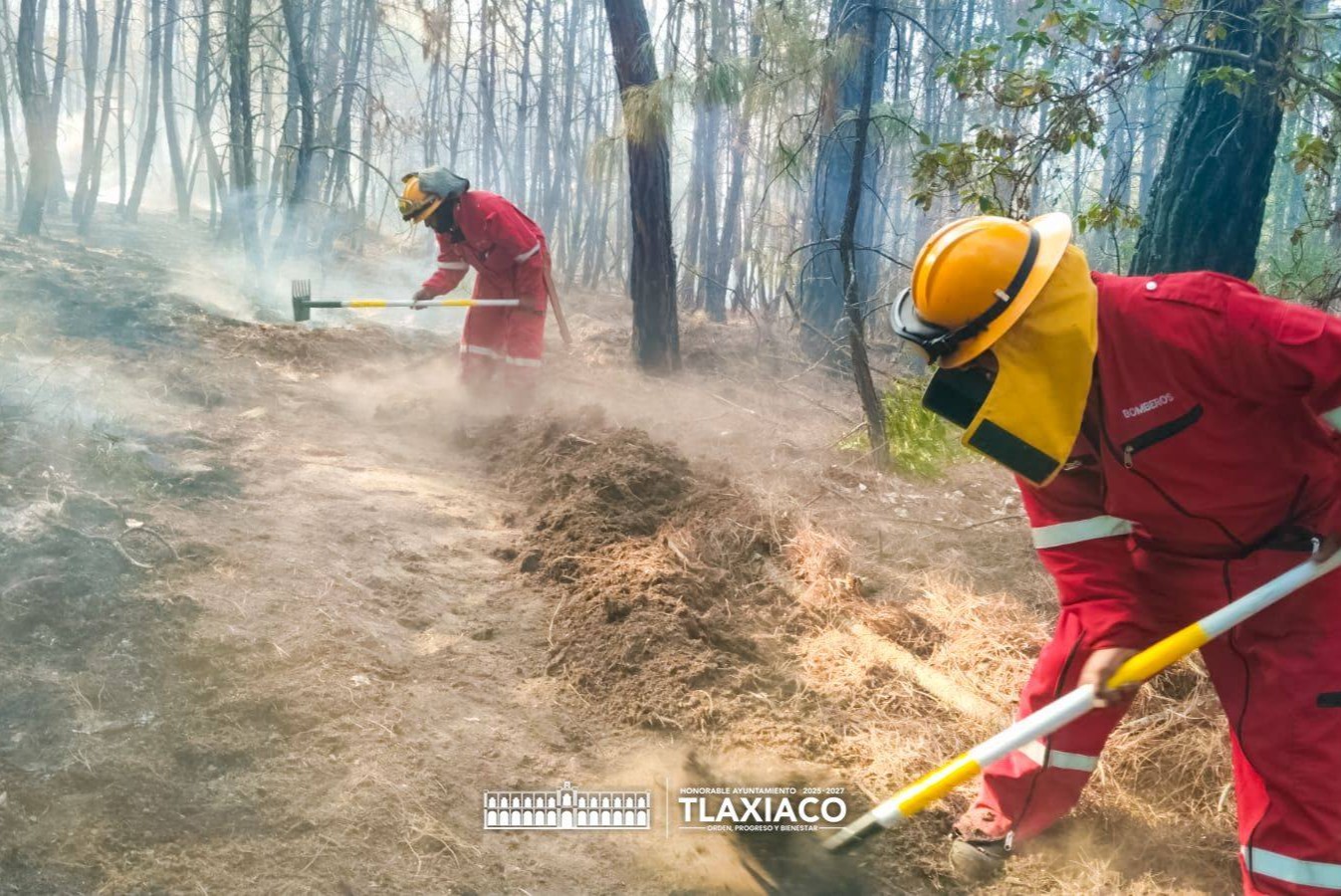 CORPORACIONES DE EMERGENCIA ATIENDEN INCENDIO FORESTAL EN ZONA DE LOMA DEL COYOTE