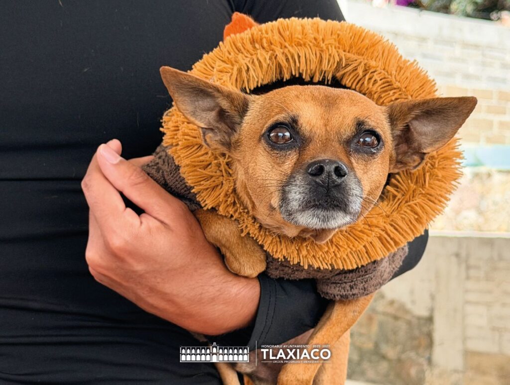 WhatsApp Image 2026-04-07 at 2.44.51 PM (4)