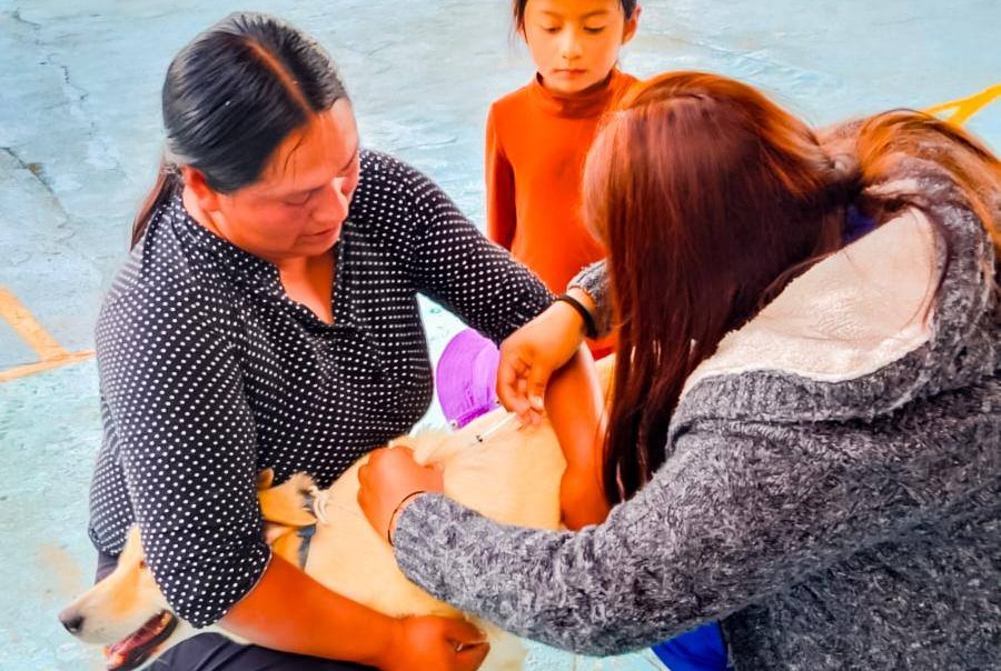 AYUNTAMIENTO Y SECTOR SALUD SUMAN ESFUERZOS EN CAMPAÑA ANTIRRÁBICA 2026