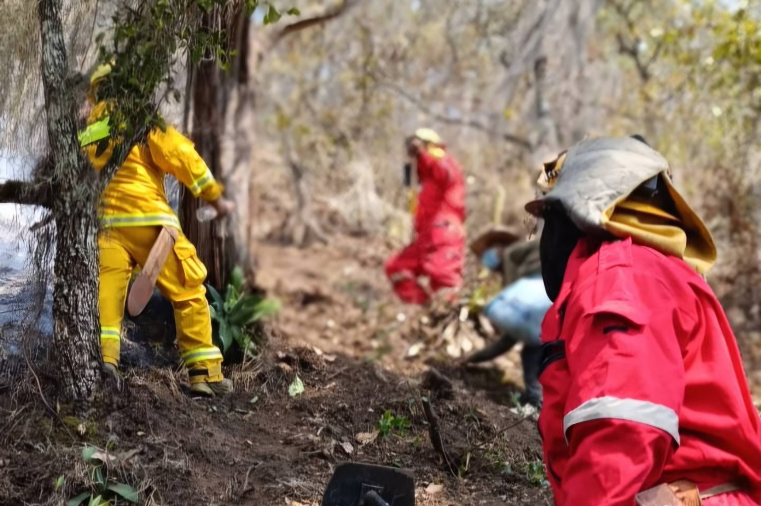 MANTIENE PROTECCIÓN CIVIL LABORES ACTIVAS ANTE INCENDIO FORESTAL EN EL MALACATE