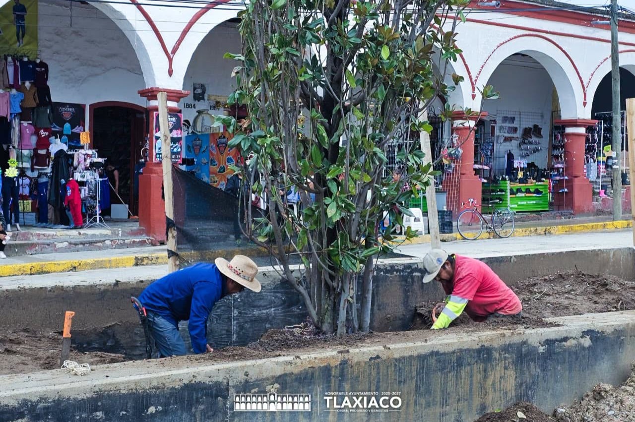 INICIAN TRABAJOS DE REFORESTACIÓN EN LA PLAZA DE LA CONSTITUCIÓN “EL RELOJ”
